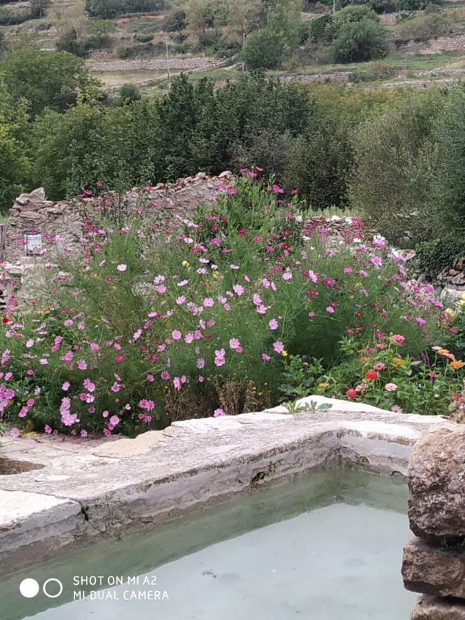Casa Rural Caseta De L' Hort Villafranca del Cid Exteriör bild